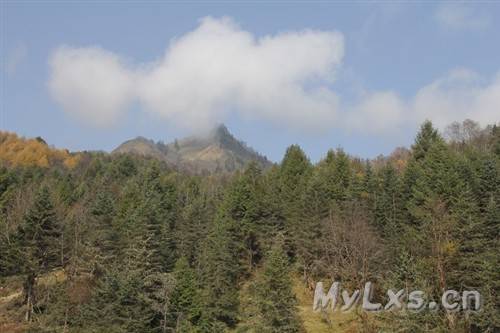 雅安東拉山大峽谷/神木壘二日游