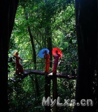 西雙版納熱帶植物園1.jpg